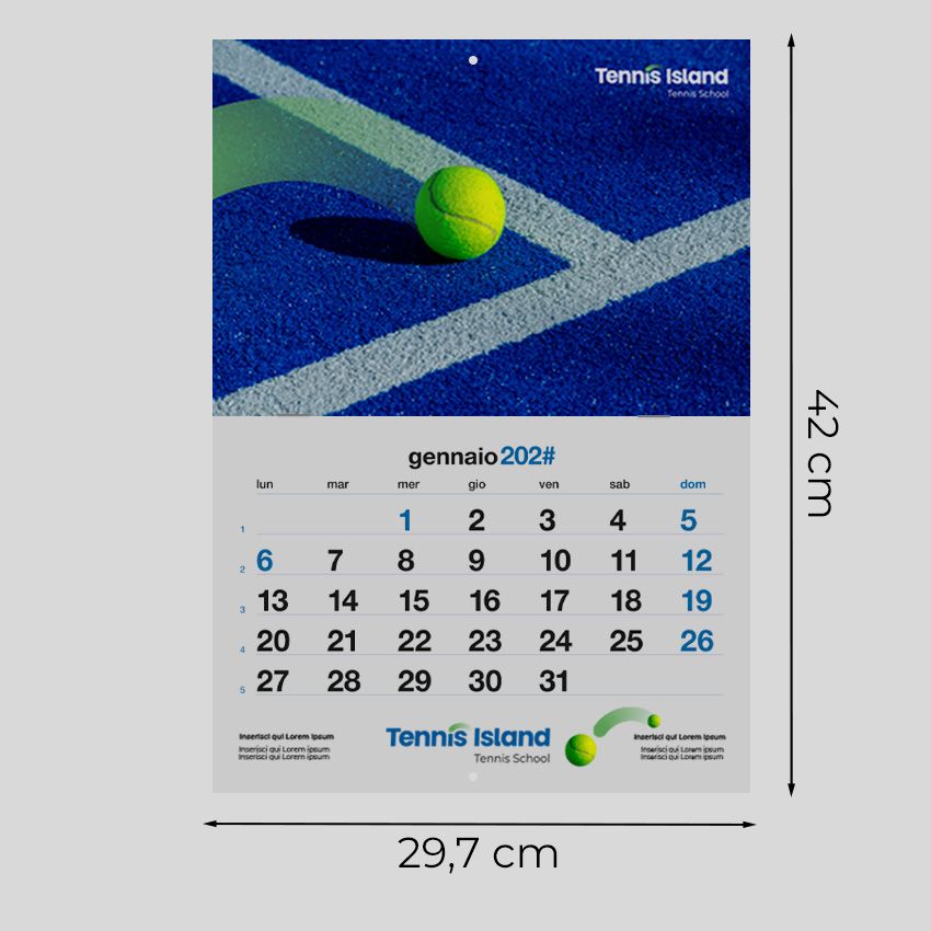 Calendario da parete 29,7x42 - 14 fogli (28 facciate)